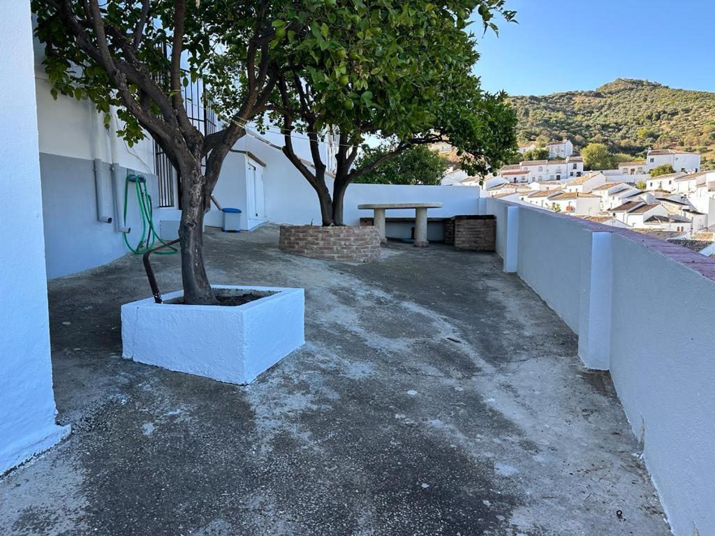 Apartamento Antonia Zahara De La Sierra Dış mekan fotoğraf